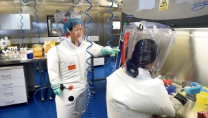 Çinliler daha ölümcül bir corona virüs üretti