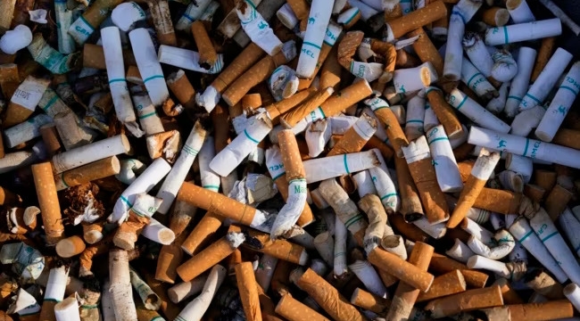 DSÖ: "Dünyada tütün kullanımı giderek azalıyor"