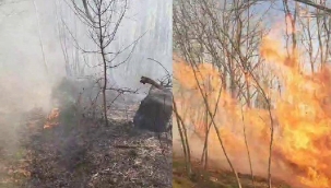 Sakarya'nın Karasu ilçesinde orman yangını