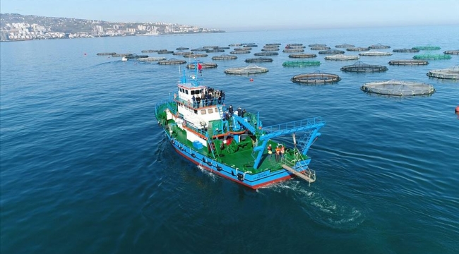 Trabzon'un su ürünleri ihracatı 2023'te %58 arttı