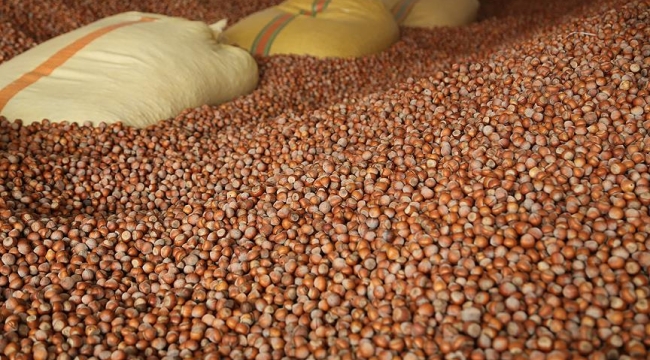 Türkiye 2023'te 284 bin 141 ton fındık ihraç etti