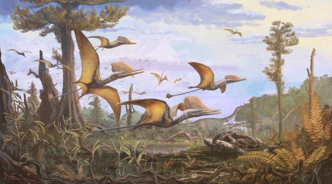166 milyon yıllık yeni bir dinozor türü bulundu