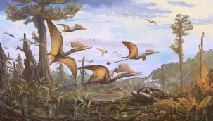 166 milyon yıllık yeni bir dinozor türü bulundu