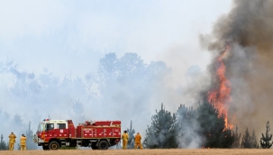 Avustralya'da 14 bin hektar ormanlık kül oldu