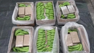 İngiltere'de 5,7 ton uyuşturucu yakalandı