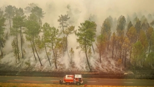Kanada'da ''zombi'' yangınlar devam ediyor