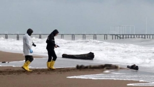 KKTC sahillerinde son 1 ayda 6 ceset bulundu