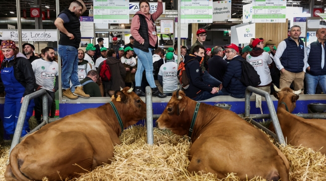 Paris'te çiftçiler, Uluslararası Tarım Fuarı'nı bastı