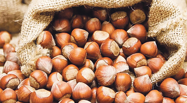 Son 5 ayda, fındık ihracı 1 milyar $ gelir sağladı