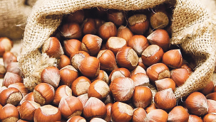 Son 5 ayda, fındık ihracı 1 milyar $ gelir sağladı