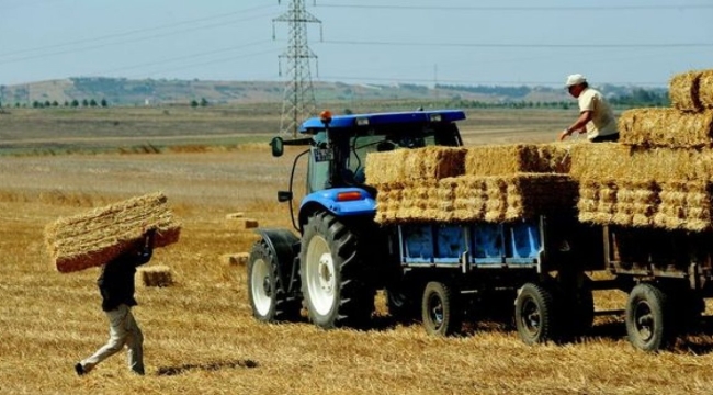 Tarımsal girdi enflasyonu Aralık'ta yıllık %41 arttı