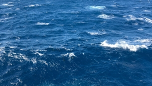 The Guardian: "Şubat ayı sıcaklık rekoru kıracak"