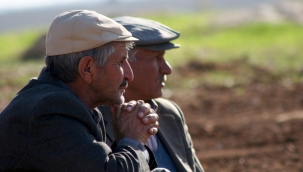 TÜİK'in iddiası: "2023'te küçülen tek sektör: Tarım"