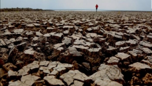 Bütün: "TR'de 36 il çok yüksek iklim riski altında"