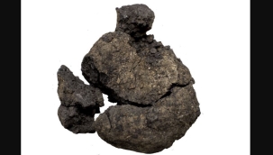 Çatalhöyük'te 8.600 yıllık ekmek kalıntısı bulundu