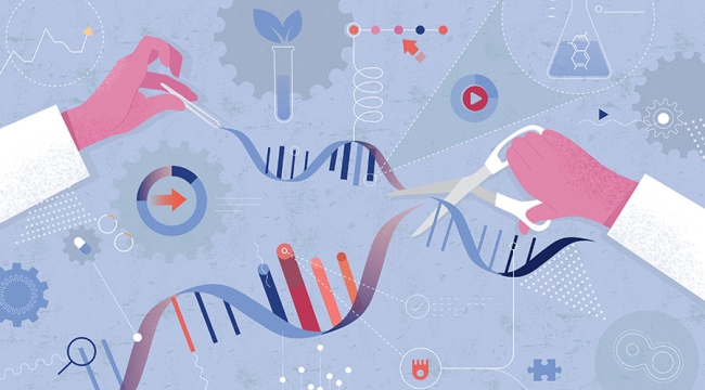 Genetik mutasyonlara karşı in vivo gen tedavisi