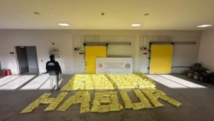 Habur Gümrük Kapısı'nda 850 kg eroin ele geçirildi