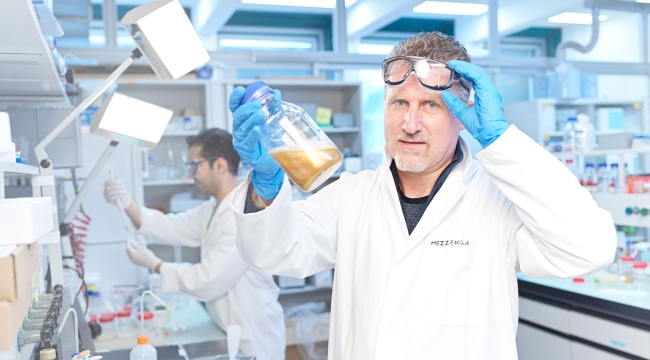 Peynir proteini süngerleriyle altun geri dönüşümü