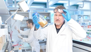 Peynir proteini süngerleriyle altun geri dönüşümü