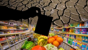 Piccoli: "Türkiye'de seçmenin asıl derdi ekonomi"