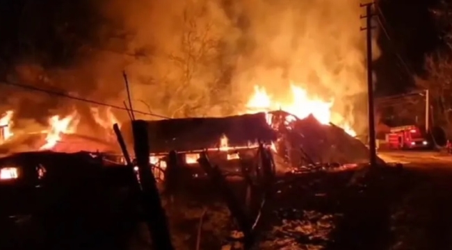 Rize'nin Pazar ilçesinde orman yangını