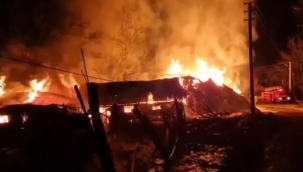 Rize'nin Pazar ilçesinde orman yangını