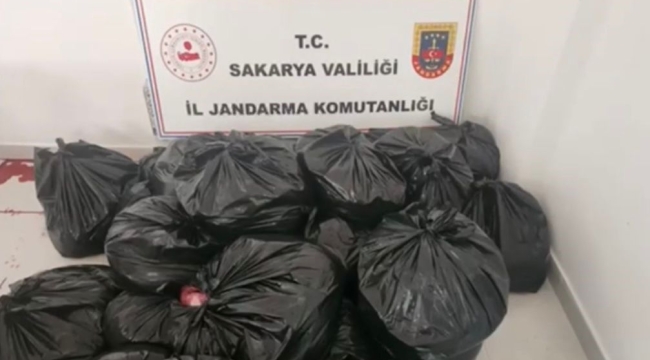 Sakarya'da 700 kg at ve eşek eti ele geçirildi