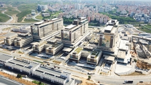 Şehir hastaneleri İngiliz "gay" Baron'a emanet