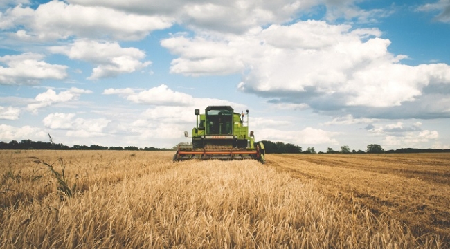 Tarımsal girdi enflasyonu Ocak'ta yıllık %45 arttı