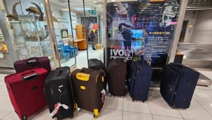 Tayland'da kaçakçıların bavulunda 87 hayvan!