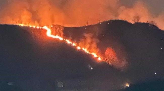Trabzon'un Of ilçesinde orman yangını