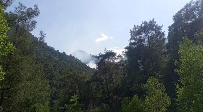 Antalya'nın Kemer ilçesinde orman yangını