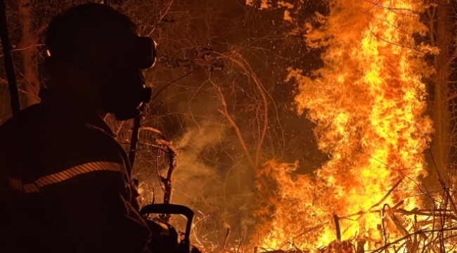 Düzce'nin Akçakoca ilçesinde orman yangını