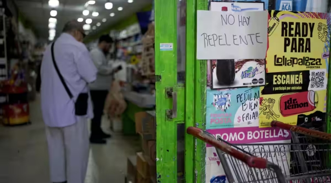 PAHO: ''G. Amerika'da dang vakaları üç kat arttı''