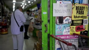 PAHO: ''G. Amerika'da dang vakaları üç kat arttı''