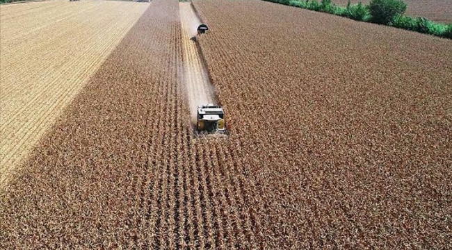 TÜİK'in iddiası: "Tarım-GFE Şubat'ta yıllık %50 arttı"