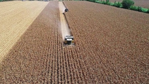 TÜİK'in iddiası: "Tarım-GFE Şubat'ta yıllık %50 arttı"