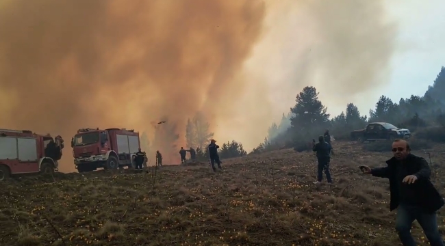 Yunanistan'da orman yangını 3 gündür sürüyor