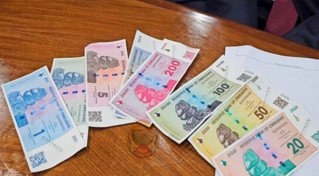 Zimbabve'de altına endeksli yeni para birimi