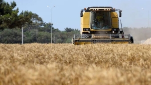 AB'den Rusya ve Belarus tahılına önleyici vergi