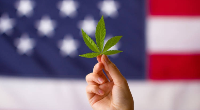 ABD'de marihuana kısıtlamaları gevşetiliyor