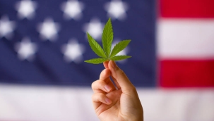 ABD'de marihuana kısıtlamaları gevşetiliyor