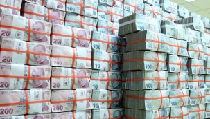 Hazine 2 tahvil ihalesiyle 46,3 milyar TL borçlandı