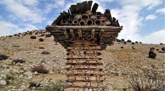 Tarihi ''arı serenleri'' bakımsızlıktan yok oluyor! 