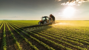 TÜİK'in iddiası: "Tarım-GFE Mart'ta yıllık %49,9 arttı"