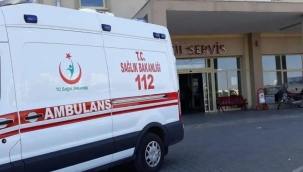 Van'da askeri araç devrildi: 11 yaralı