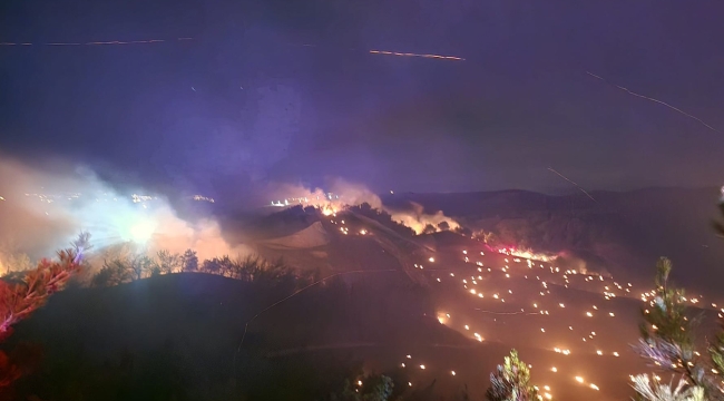 Adana'nın Çukurova ilçesinde orman yangını