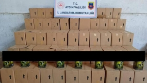 Aydın'da 4 bin litre sahte zeytinyağı ele geçirildi