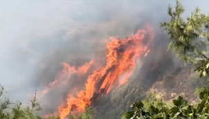 Aydın'da "kaynak" kıvılcımı yangına sebep oldu