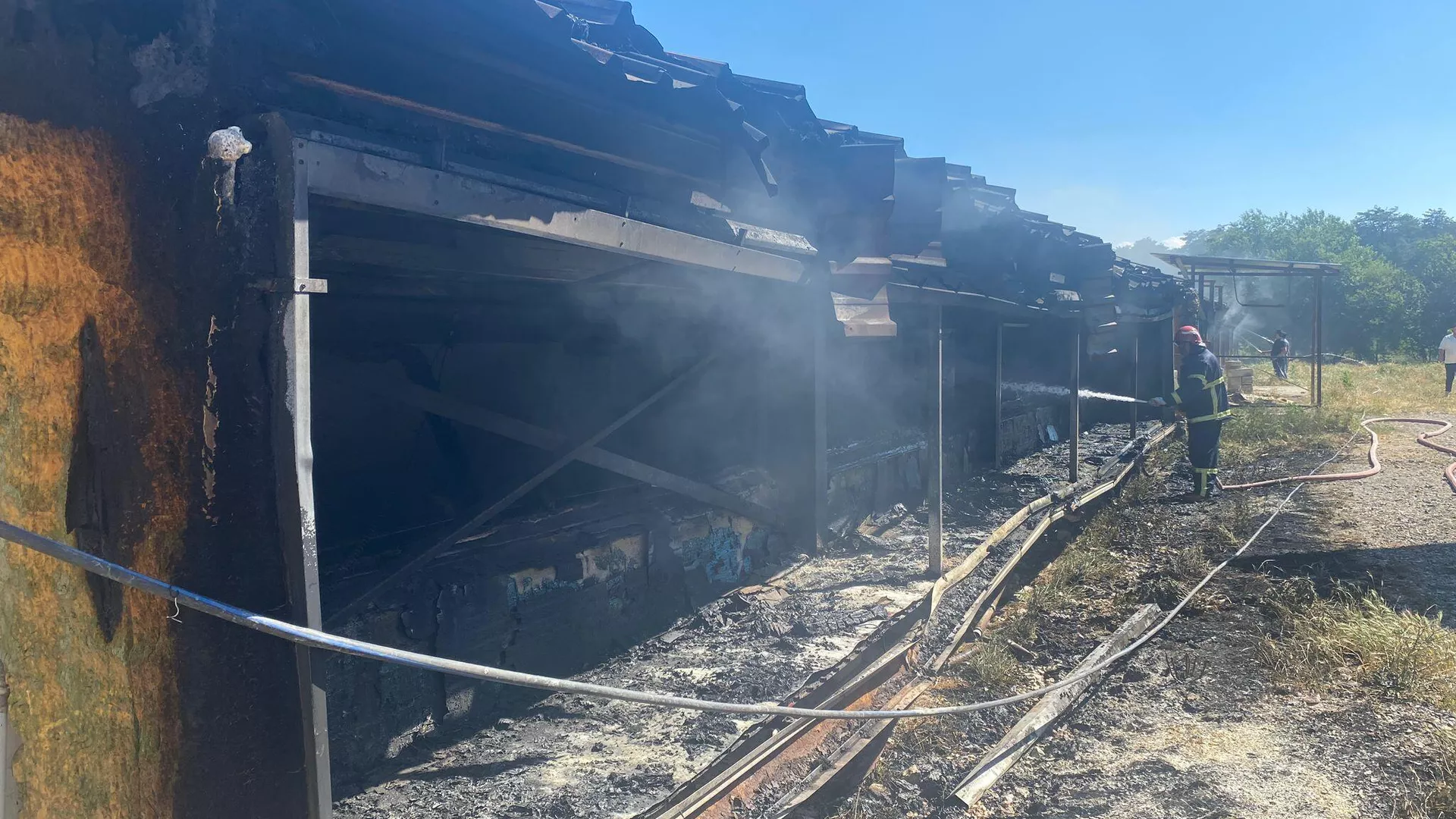 Bolu'da kümes yangını: 20 bin civciv öldü